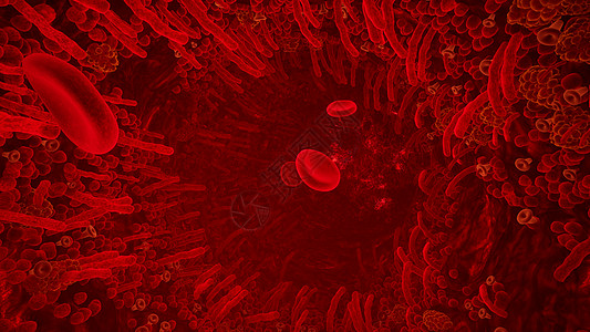 人体动脉中的红血细胞 通过生物体中的血管飞行 3D发音器 3D发音解剖学医院生物学细胞流动溪流显微镜静脉血细胞生活图片