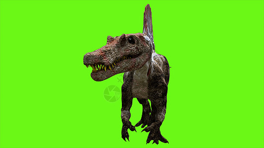 绿色屏幕上的恐龙  3D渲染怪物荒野古生物学插图灭绝生物色度捕食者力量攻击背景图片