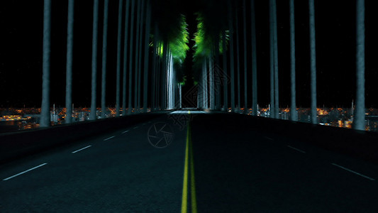 3D夜间在一条公路上驾车穿过棕榈树图片