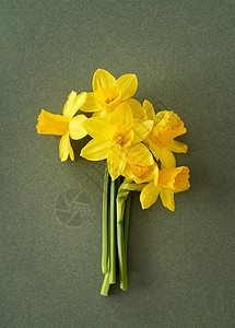 春季概念  绿色背景的黄色花朵 带复制空间 顶视图花束植物水仙园艺季节生态百合图片