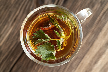 在一杯草药茶中新鲜的织物杯子茶碗排毒植物杂草药物饮料食物草本植物康复图片