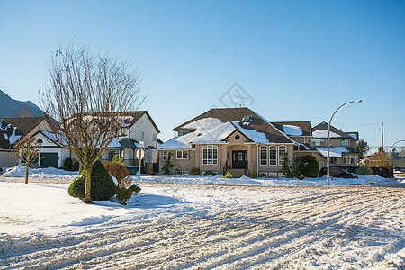 加拿大郊区冬季雪中住宅街道图片