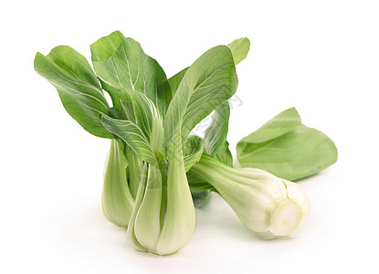 美丽的Bok Choy 中国卷心菜或清青cai 与自然阴影隔绝在白色上油菜籽农业食物烹饪营养农场婴儿植物油菜沙拉图片