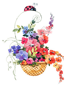 花篮中的花朵插图问候语黑色卡通片篮子植物群昆虫卡片绘画艺术图片
