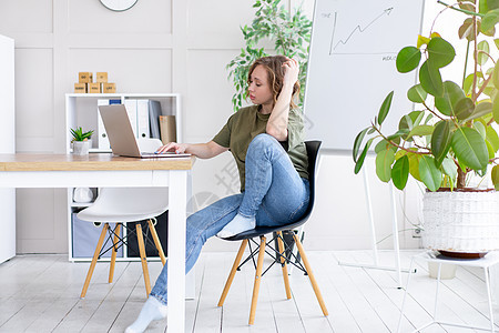 商业妇女使用手提膝上型电脑坐在办公桌的白色现代办公室内装有家庭植物的室内办公职业管理人员视频人士电话窗户自由职业者企业家经理图片
