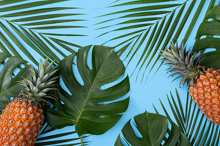 蓝色背景热带叶子新鲜菠萝的顶部视图平铺凤梨高架丛林情调边界销售棕榈海报艺术图片