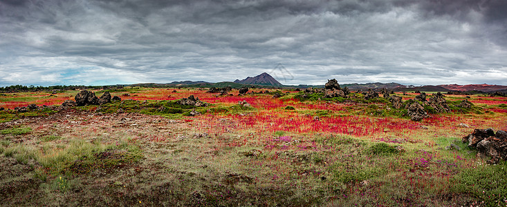 冰岛Reykjahlid镇Myvatn湖和Hverfjall火山及Krafla火山附近熔岩场的全景 夏季湿地洞穴踪迹苔藓寂寞地平图片