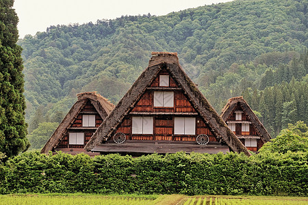 日本秋天和山地背景的白川戈村世界遗产(日本)图片