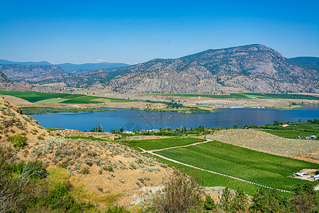 Okanagan河谷全景 以住宅区和果园农田为主支撑水果农场土地场景树木风景草地晴天假期图片