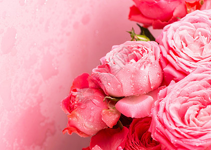 粉红玫瑰花花花束背景热情婚礼卡片植物群温泉花园周年庆典花瓣植物图片