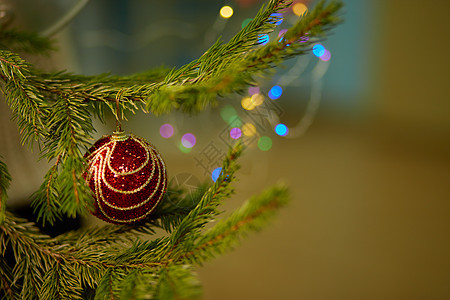 带有室内红色玩具的圣诞树种植图象玻璃公寓木头丝带庆典房间装饰品假期松树创造力图片