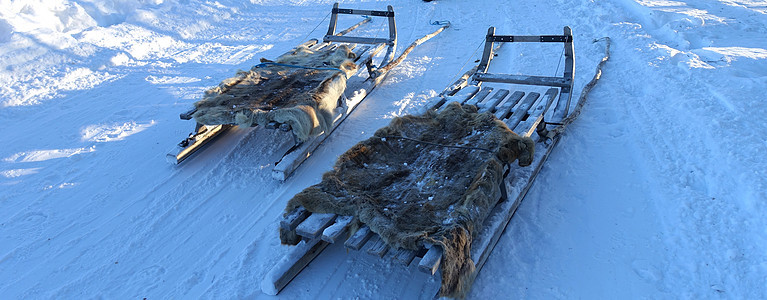 雪地上停着的雪车宠物运输团队假期动物森林运动冻结行动享受图片