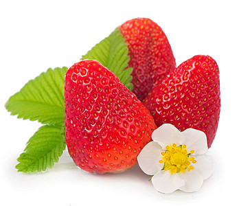有叶子的草莓 白种树本孤立农业草莓片甜点果味水果养分浆果背景图片