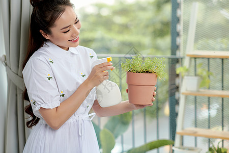 一名妇女正在给家里的植物浇水和喷药 家庭花园的概念 春天 照顾家庭植物图片