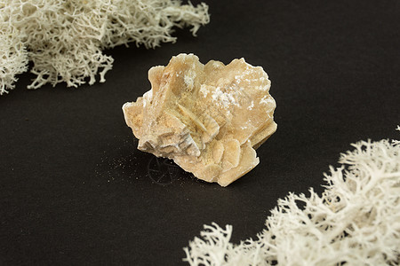 来自突尼斯的沙漠玫瑰水晶 在黑背景的自然矿物石头 矿物学地质学半宝石和矿物样品的魔力 特写微距照片异国石膏收藏硫酸盐砂岩岩石地球图片