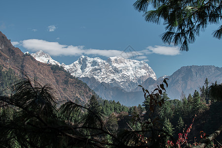 尼泊尔山脉沿安纳普尔纳环路沼泽地自由农村旅行旅游树木丘陵顶峰风景环境图片