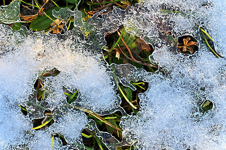 冰冻的草地 美丽的天然多彩背景 冬季水晶植物群叶子墙纸季节花园玻璃场地窗户太阳图片