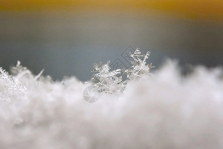 雪花 真正的雪水晶宏观照片 美丽的冬季背景季节性自然与冬季天气水晶季节蓝色自然宽慰薄片火花星星六边形图片