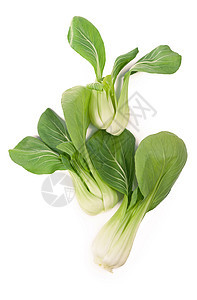 美丽的Bok Choy 中国卷心菜或清青cai 与自然阴影隔绝在白色上叶子美食油菜籽饮食食物沙拉农场农业油菜植物图片