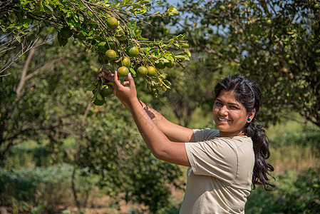 年轻农妇女孩手里握着和检查树上的甜橙子场地收获农民植物天空柠檬食物女士农村收成图片