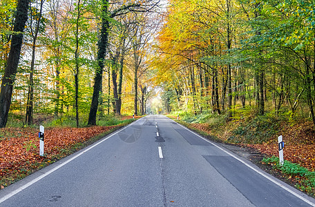 南欧北部森林和树木的乡村道路风景美观 在远足沥青踪迹天空木头农田车道地平线旅行街道图片