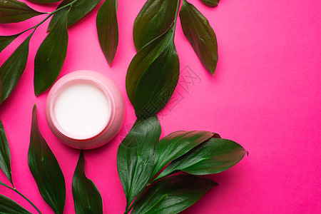 面霜和绿叶 美容 面部皮肤护理 粉红色的背景 关于面霜选择的文章 水疗护理 粉刺 光滑洁净的皮肤 皮肤营养 复制空间瓶子塑料植物图片