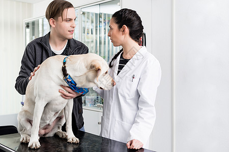 诊所的狗检查病人男人宠物男性成人职业讲话工作考试访问图片