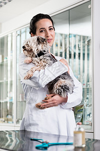 快乐的兽医携带生病的小狗微笑女士考试药品工作动物宠物卫生胰岛素成人图片