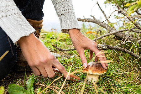 巴伐利亚阿尔卑斯山的年轻蘑菇采摘者全景风景假期采摘活动女孩女士女性山脉常委图片