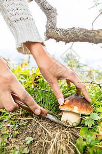 巴伐利亚阿尔卑斯山的年轻蘑菇采摘者风景女士女性折刀全景自由山脉闲暇高山假期图片