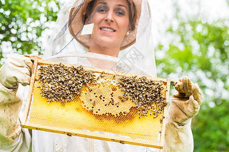 养蜂人控制蜜蜂场和蜜蜂农场果园梳子工作衣服蜂蜜职业蜂巢框架蜂房图片