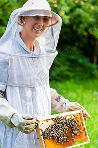 养蜂人控制蜜蜂场和蜜蜂女性农业蜂窝农场蜂房蜂蜜帽子蜂巢手套院子图片