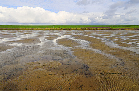 欧洲德国Nordstrand半岛附近的Wadden Sea 国家公园天空地标环境风景支撑公寓海岸线公园地平线旅游图片