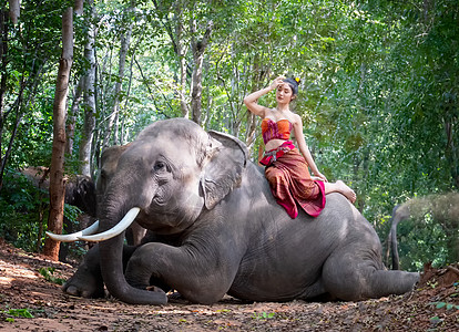 在泰国素林省与大象一起穿泰式礼服的美丽农村泰国妇女肖像热带女士村庄环境农民森林野生动物驯象师荒野游客图片