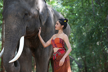 在泰国素林省与大象一起穿泰式礼服的美丽农村泰国妇女肖像村庄旅行环境森林女士野生动物旅游家庭农民幸福图片