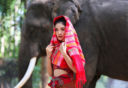 在泰国素林省与大象一起穿泰式礼服的美丽农村泰国妇女肖像友谊女孩丛林旅行文化哺乳动物旅游驯象师幸福热带图片