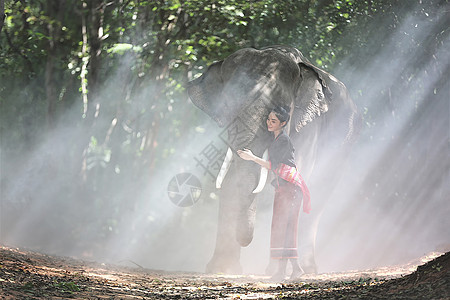 在泰国素林省与大象一起穿泰式礼服的美丽农村泰国妇女肖像女性丛林友谊荒野幸福游客野生动物家庭女士环境图片