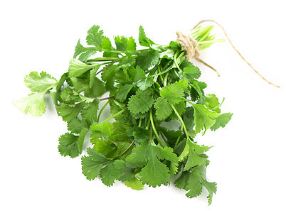 Coriander 新鲜绿叶 白上分离杯子食物叶子烹饪植物细绳味道蔬菜香料缠绕图片