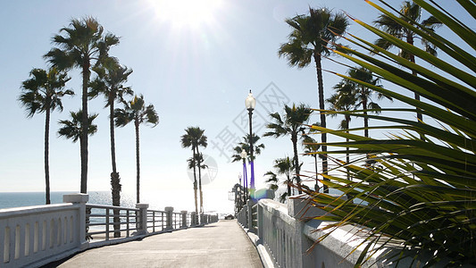 棕榈树和码头 热带海洋海滩 夏季加利福尼亚海岸 阳光明媚的美国日落图片
