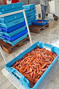 西班牙阿吉拉斯鱼市的鱼篮市场美食渔港海鲜维生素荒野营养素海洋生物海洋商业图片