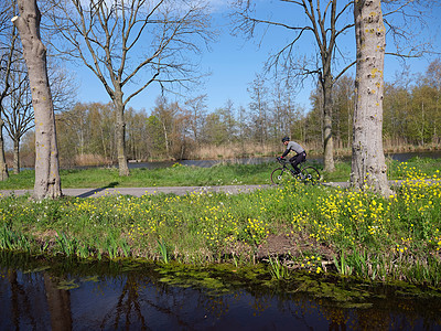男人骑自行车在沃登附近的乡间公路上 在霍兰德的绿色庄园里自然季节风景旅行天空蓝色环境场地农村树木图片