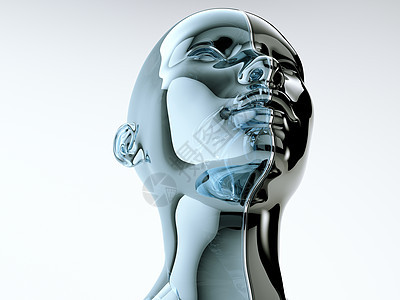用线分隔的玻璃人头作为平衡和多样性的象征人体男性白色身体模型文化蓝色女士女性精神图片