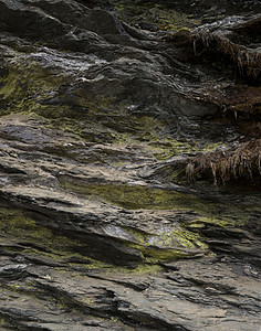 岩石和石头的纹理或图案与 mos麻岩盘子矿物石灰岩石灰石苔藓毛刺沙粒花岗岩石板图片