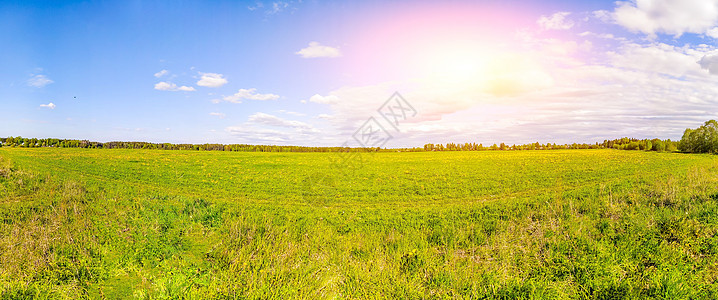 在该领域的全景夏季景观 俄罗斯开放空间 夏季景观 在领域的花 蓝天 复制空间蓝色国家花粉农场爬坡环境草地季节晴天农田图片