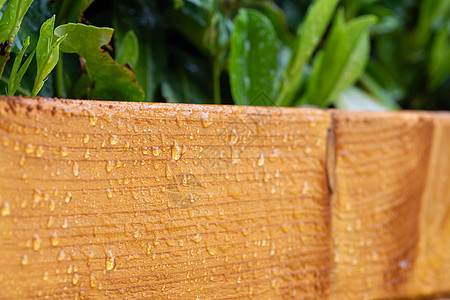 处理过的木材 防潮水和水 雨后滴水水分墨水治疗湿气花园纹理图片