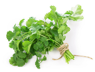 Coriander 新鲜绿叶 白上分离营养缠绕叶子烹饪草本植物植物食物植物群细绳杯子图片