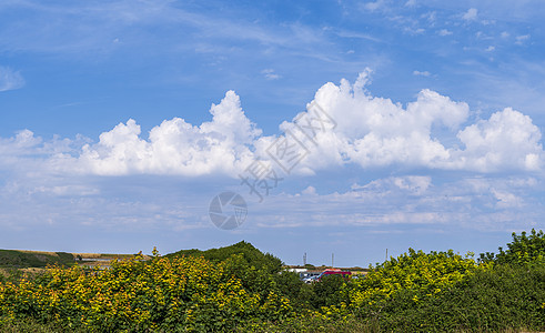 在英国多尔塞特波特兰岛(Dorset)的乡村农村地区 云层覆盖着巨大的积聚体云图片