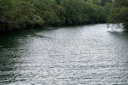环绕湖泊的绿林 在自然界的水美中反射旅游溪流绿色植物林地爬坡蓝色高地场景天气河流图片