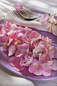 表格中的圆括号植物香味流动花瓣盘子植物群花园桌子粉色图片