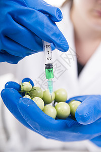 转基因修改食物药品农业实验注射身体实验室技术生物生物学图片
